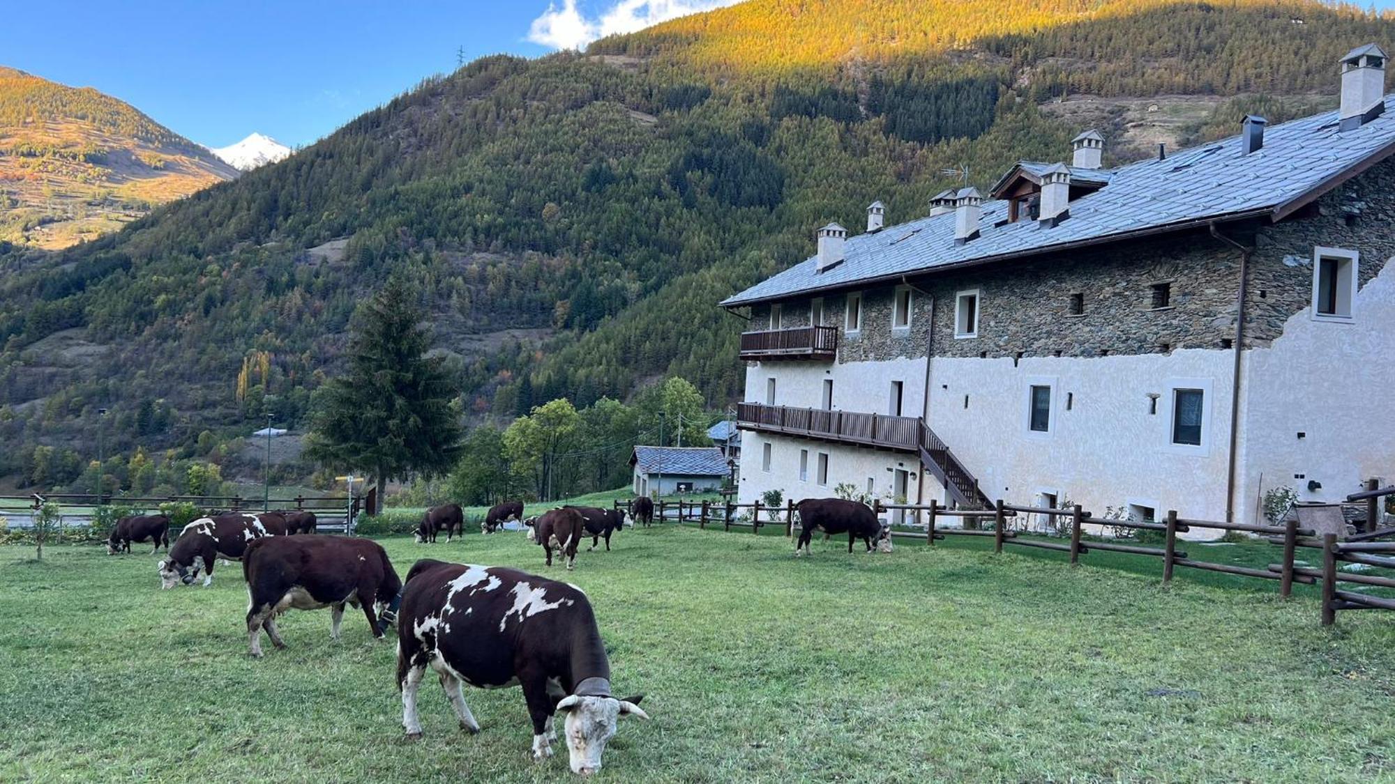 Maison Marcoz - Appartamenti Vacanze Etroubles Exteriér fotografie